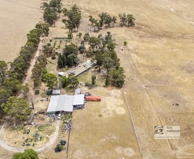 Rural / Farming commercial property sold at 163 Longs Road Serpentine VIC 3517