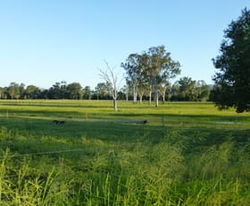 Rural / Farming commercial property sold at Degilbo QLD 4621