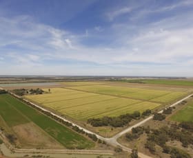 Rural / Farming commercial property sold at Griffith NSW 2680