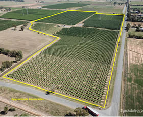 Rural / Farming commercial property sold at 225 Lemnos North Road Lemnos VIC 3631
