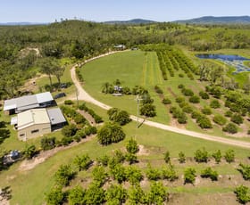 Rural / Farming commercial property sold at 220 Staffords Road, Bloomsbury QLD 4799