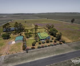 Rural / Farming commercial property sold at 949 Clifton Pittsworth Road Back Plains QLD 4361