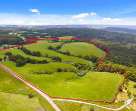 Rural / Farming commercial property sold at 2/4515 Colac Lavers Hill Road Wyelangta VIC 3237
