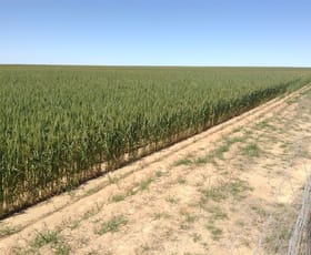 Rural / Farming commercial property sold at 1726 Baandee North Cross Road North Baandee WA 6412