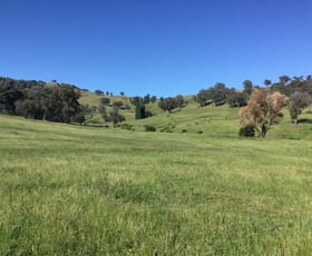 Rural / Farming commercial property sold at 3048 Yaven Creek Road Adelong NSW 2729