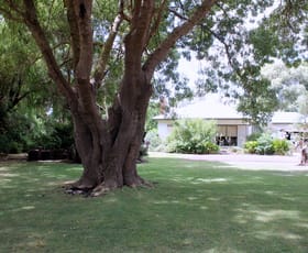 Rural / Farming commercial property sold at 220 Sextons Road Swan Marsh VIC 3249