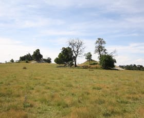 Rural / Farming commercial property sold at 90 Porters Road Scarsdale VIC 3351