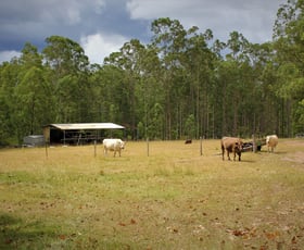 Rural / Farming commercial property sold at Skillion Flat NSW 2440