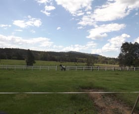 Rural / Farming commercial property sold at 288 Tabulam Rd Lower Bottle Creek NSW 2469