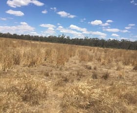 Rural / Farming commercial property sold at Lot 8 Bolangum Inn Road Kanya VIC 3387