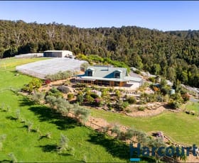 Rural / Farming commercial property sold at 55 Mylrea Road Jindivick VIC 3818