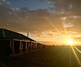 Rural / Farming commercial property sold at 29 Nanardine Lane Parkes NSW 2870