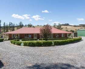 Rural / Farming commercial property sold at 16 Glengarry Road Glengarry TAS 7275
