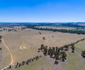 Rural / Farming commercial property sold at 387 Ravenswood Road Holbrook NSW 2644