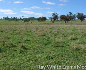 Rural / Farming commercial property sold at Barry Road Blayney NSW 2799