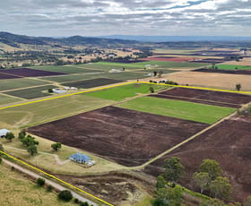 Rural / Farming commercial property for sale at 79 Mulgowie Rd Mulgowie QLD 4341