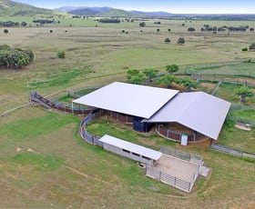 Rural / Farming commercial property sold at "Comanche"1820 Comanche Road Glenroy QLD 4702
