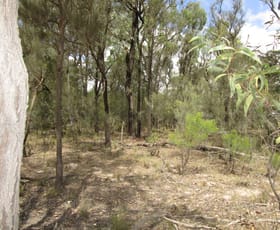 Rural / Farming commercial property sold at LOT 195 MYRA ROAD Tara QLD 4421