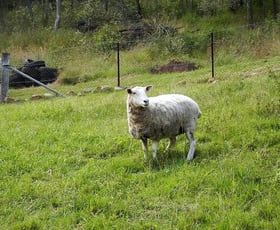 Rural / Farming commercial property sold at Tabulam NSW 2469 Rural / Farming commercial property sold at Tabulam NSW 2469