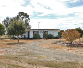 Rural / Farming commercial property sold at 222 Webb Road Kyabram VIC 3620