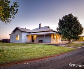 Rural / Farming commercial property sold at 1242 Sturt Highway Merbein South VIC 3505