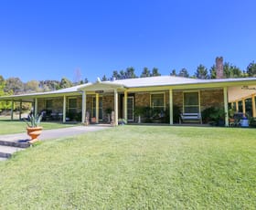 Rural / Farming commercial property sold at 1018 Freemantle Road Billywillinga NSW 2795