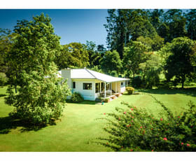 Rural / Farming commercial property sold at 2240 Darkwood Road Bellingen NSW 2454