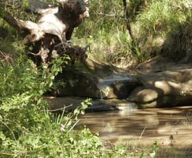 Rural / Farming commercial property sold at 9996 Clarence Way Louisa Creek NSW 2469