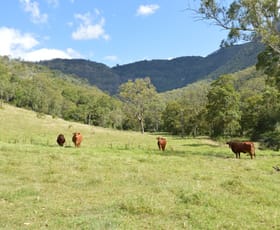 Rural / Farming commercial property sold at Townson QLD 4341