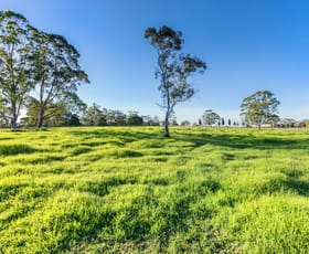 Rural / Farming commercial property sold at Arcadia NSW 2159