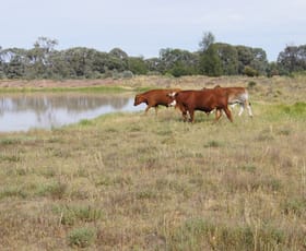Rural / Farming commercial property sold at 1043 ACRES BRIGALOW/BELAH Tara QLD 4421