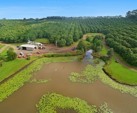 Rural / Farming commercial property sold at 62 Munro Road Dunoon NSW 2480