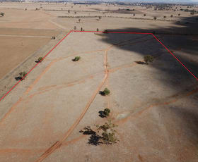 Rural / Farming commercial property sold at Lot 104 of 63 Phillip Lane Tamworth NSW 2340