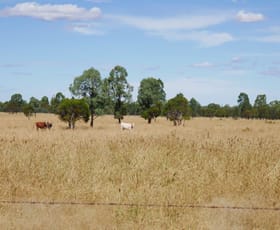 Rural / Farming commercial property sold at 581 ACRES GRAZING LIFESTYLE Cecil Plains QLD 4407 Rural / Farming commercial property sold at 581 ACRES GRAZING LIFESTYLE Cecil Plains QLD 4407