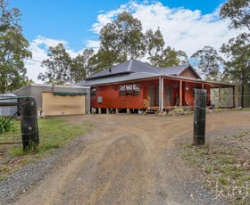 Rural / Farming commercial property sold at 43 Pelton Road Quorrobolong NSW 2325