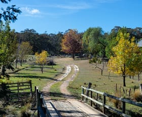 Rural / Farming commercial property sold at 3635 Hill End Road Mudgee NSW 2850