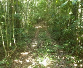 Rural / Farming commercial property sold at Ellinjaa QLD 4886