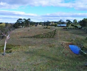 Rural / Farming commercial property sold at 264 Ben Lomond Road Llangothlin NSW 2365