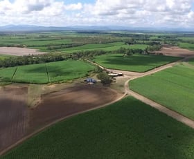 Rural / Farming commercial property sold at 1426 Kelsey Creek Rd Proserpine QLD 4800