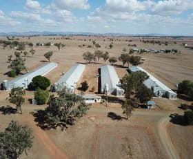 Rural / Farming commercial property sold at 244 - 346 Gidley Siding Road Tamworth NSW 2340