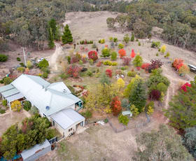 Rural / Farming commercial property sold at 388 Maitland Bar Road Mudgee NSW 2850