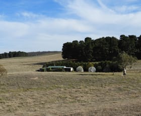 Rural / Farming commercial property sold at 931 Yalbraith Road Golspie NSW 2580