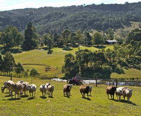 Rural / Farming commercial property sold at 488 Mount Pleasant Road Mount Pleasant QLD 4521