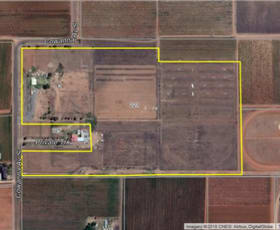 Rural / Farming commercial property sold at 221 COWANNA AVENUE Merbein South VIC 3505
