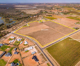 Rural / Farming commercial property sold at Lot 2/818 Cureton Avenue Irymple VIC 3498