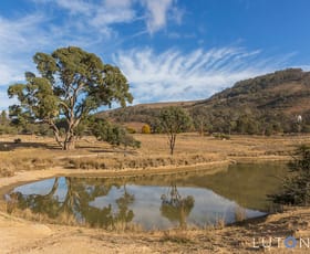 Rural / Farming commercial property sold at 383 Williamsdale Road Burra NSW 2620