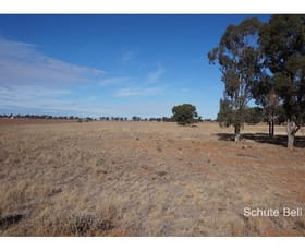 Rural / Farming commercial property sold at . Burlie Narromine NSW 2821