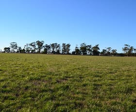 Rural / Farming commercial property sold at 1/ Slaughteryard Road Terang VIC 3264