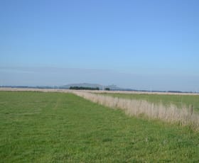 Rural / Farming commercial property sold at 1/Chamallak Lane The Sisters VIC 3265