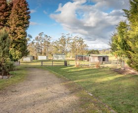 Rural / Farming commercial property sold at 331 Western Creek Road Caveside TAS 7304
